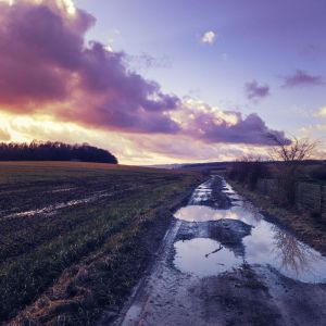 收聽Academia de Meditação Buddha的Wanderlust歌詞歌曲