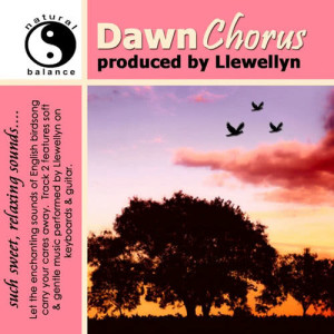 ดาวน์โหลดและฟังเพลง Dawn Chorus พร้อมเนื้อเพลงจาก Llewellyn
