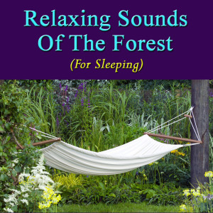 Dengarkan lagu Relaxing Sounds of the Forest (For Sleeping) nyanyian Natural Sounds dengan lirik