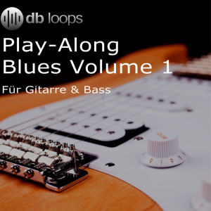Dengarkan Blues im Stil von Hoochie Coochie - ohne Sologitarre lagu dari dbloops.de dengan lirik