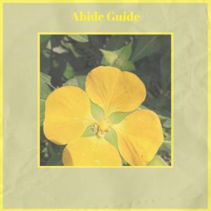 Various Artists的專輯Abide Guide