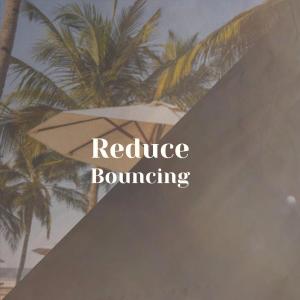 Album Reduce Bouncing from Various