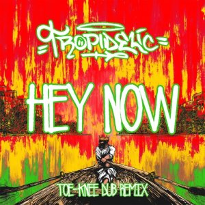 ดาวน์โหลดและฟังเพลง Hey Now (Toeknee Dub Remix) พร้อมเนื้อเพลงจาก Tropidelic