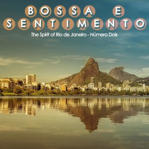 Listen to Brincando de Samba song with lyrics from Clara Moreno