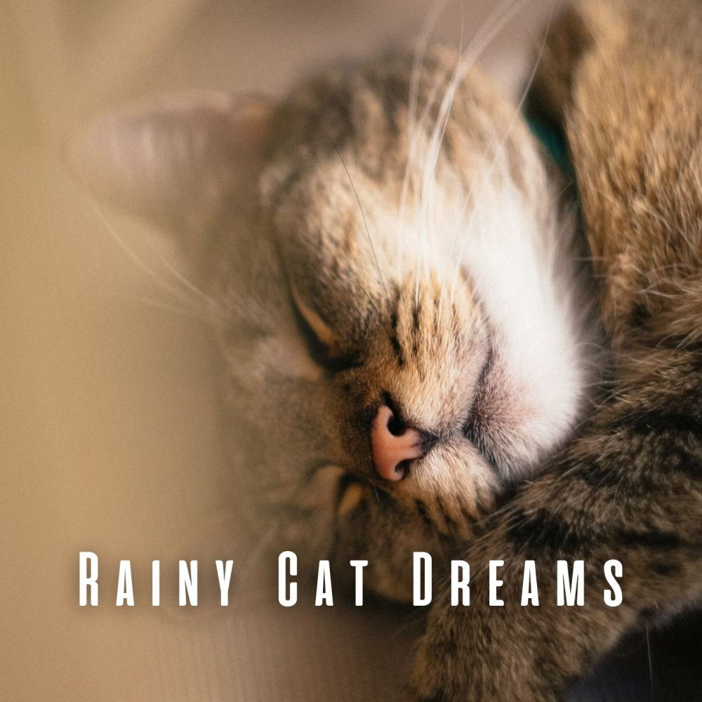Feline Rainy Day Fantasies