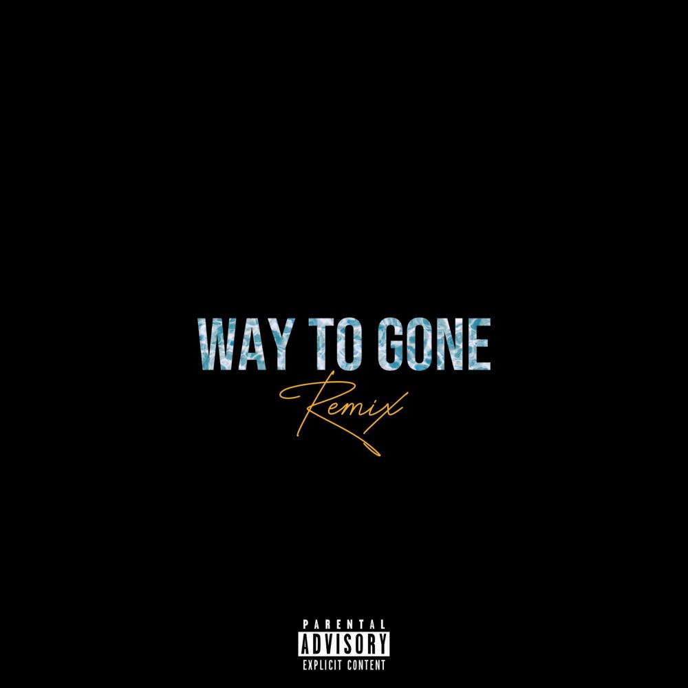 Way To Gone (feat. Cameron White & A.B.) (Remix|Explicit)