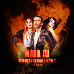 อัลบัม În Golul Tău (Live Session) ศิลปิน The Motans
