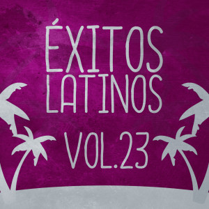 Varios Artistas的專輯Éxitos Latinos (Vol.23)
