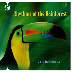 ดาวน์โหลดและฟังเพลง Rhythms of the Rainforest พร้อมเนื้อเพลงจาก James Heatherington