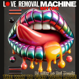ดาวน์โหลดและฟังเพลง The Way To Find Your Love (DJ Miky Le Roi Mix) พร้อมเนื้อเพลงจาก Love Removal Machine