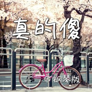 收聽JESSE T的真的傻 (鋼琴版)歌詞歌曲