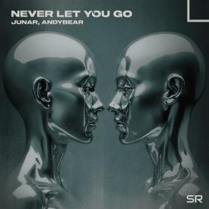 Junar的專輯Never Let You Go