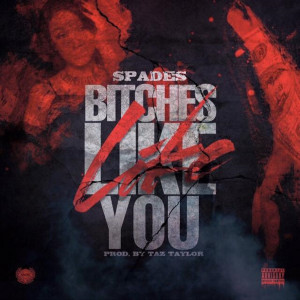 Dengarkan lagu Bitches Like You (Explicit) nyanyian Spades dengan lirik