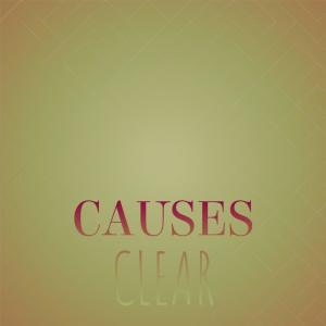 อัลบัม Causes Clear ศิลปิน Various