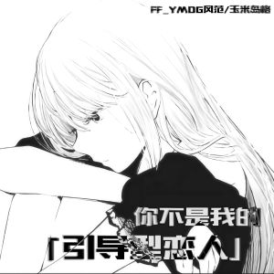 Listen to 你不是我的引导型恋人 song with lyrics from 风范