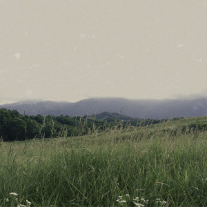 Listen to 들꽃 (wild flower) song with lyrics from Jung Saebyuk