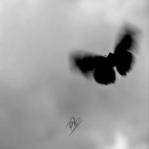 PGB的专辑Black Butterfly