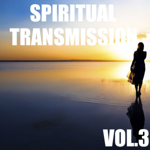 Album Spiritual Transmission, Vol.3 from The Imperas