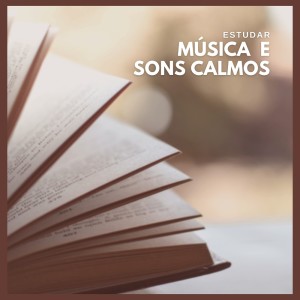 Musicas para Estudar Collective的專輯Estudar: Música  e Sons Calmos