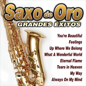 收聽Sax Gold的Eternal Flame歌詞歌曲