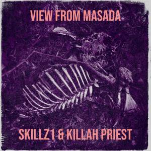 Killah Priest的专辑View from Masada