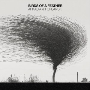 Listen to Birds Of A Feather song with lyrics from Arkadia
