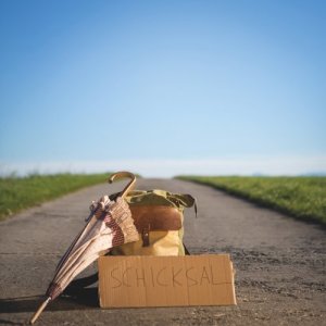 Album Schicksal from Monobo Son