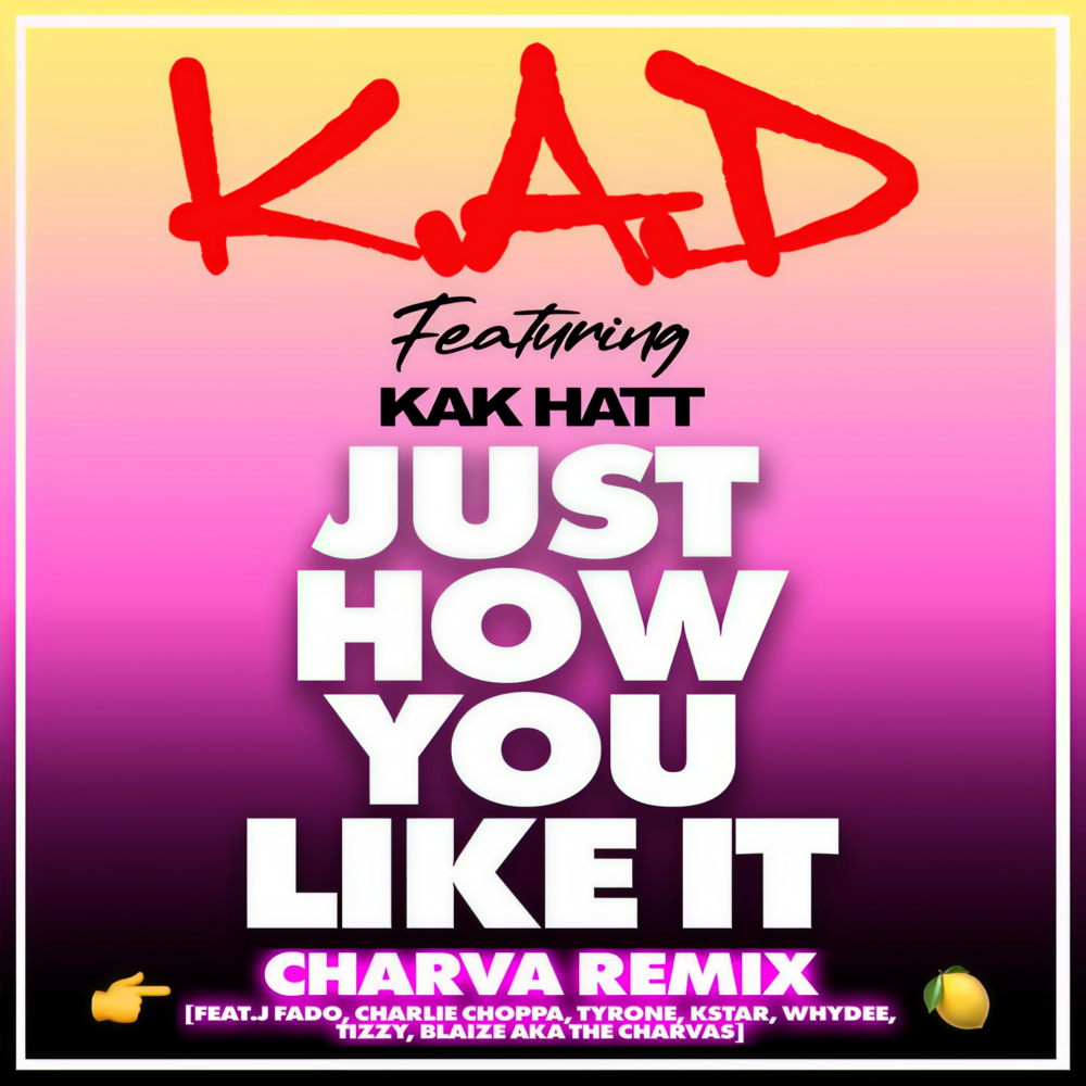 Just How You Like It (Charva Remix|Explicit)