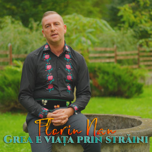 Listen to Grea e viața prin străini song with lyrics from Florin Nan