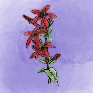 ดาวน์โหลดและฟังเพลง Pecking Stars พร้อมเนื้อเพลงจาก Early Garden