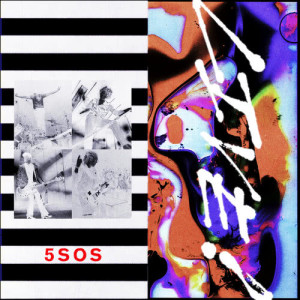 ดาวน์โหลดและฟังเพลง She Looks So Perfect (Live) พร้อมเนื้อเพลงจาก 5 Seconds Of Summer