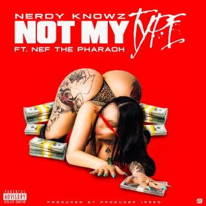 Album Not My Type (feat. Nef The Pharaoh) (Explicit) oleh Nerdy KnowZ