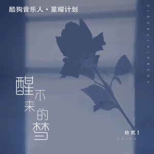 Listen to 醒不来的梦 song with lyrics from 拾贰
