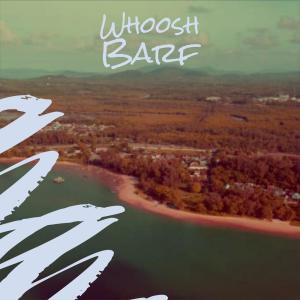 收聽Maick Zira的Whoosh Barf歌詞歌曲