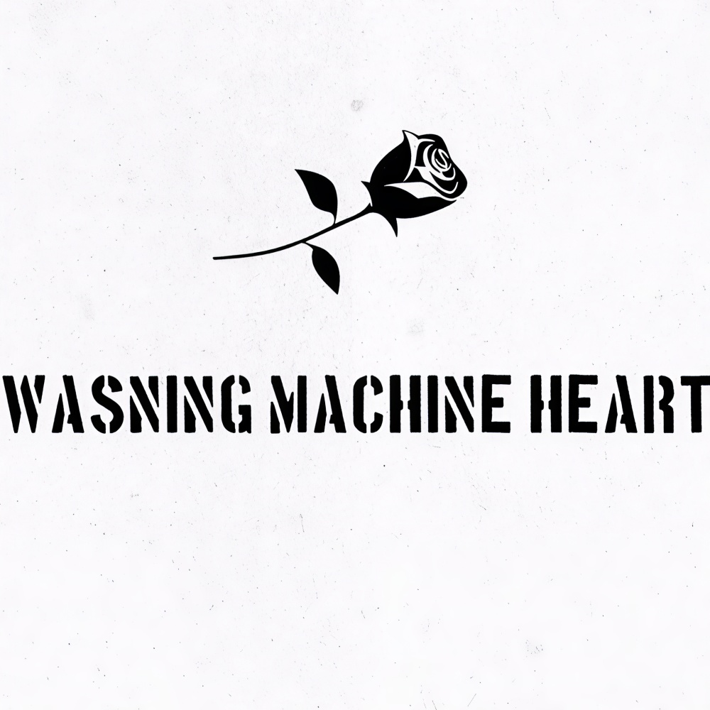 washing machine heart (slow)