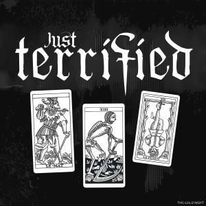 ดาวน์โหลดและฟังเพลง Just Terrified (Why Do Anything?) พร้อมเนื้อเพลงจาก This Cold Night