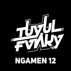 Album NGAMEN 12 (DJ) [Explicit] from Tuyul Fvnky
