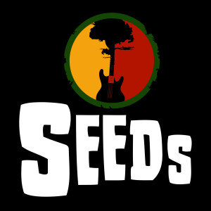 收聽Seeds的Nada Me Faltará歌詞歌曲