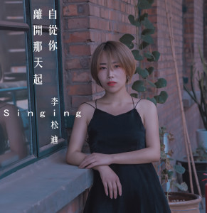 Listen to 自从你离开那天起 (伴奏) song with lyrics from 李松迪
