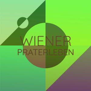 Listen to Wiener Praterleben song with lyrics from Jan Corduwener