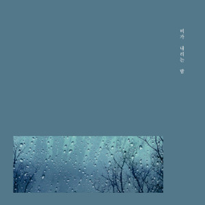 Listen to Draw You song with lyrics from 비가 내리는 밤