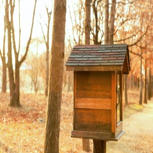Listen to Dairy - 진심을 전한다 song with lyrics from 조주 (Jojoo)