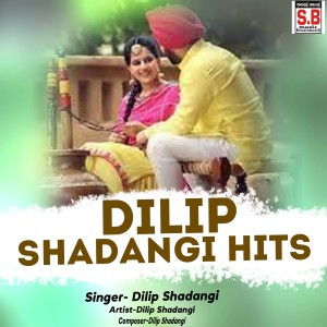 收听Dilip Shadangi的Dilip Shadangi Hits歌词歌曲