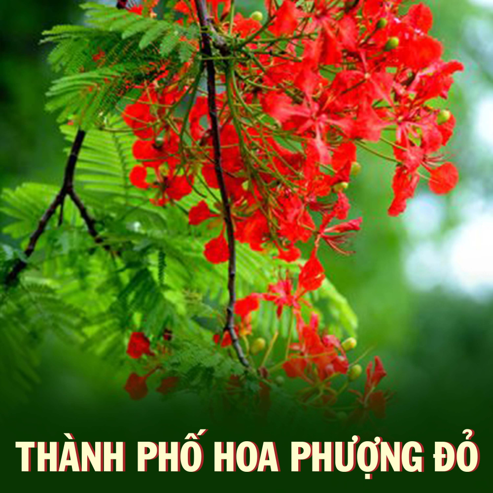 Ở vùng than quê hương tôi