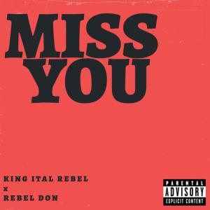 อัลบัม MISS YOU (feat. REBEL DON) [Explicit] ศิลปิน King Ital Rebel
