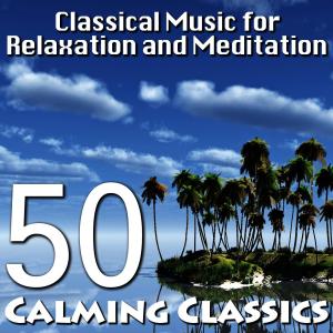 收聽London Festival Orchestra的Ballet Suite from  Swan Lake  Op. 20: Pas de deux歌詞歌曲