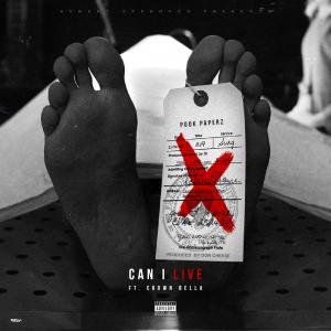 Pook Paperz的專輯Can I Live (feat. Crown Bella) (Explicit)