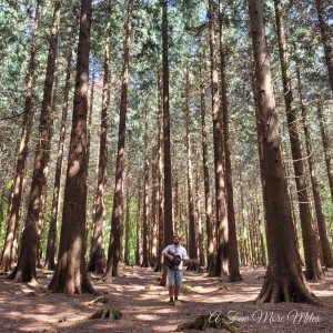 Dengarkan A Few More Miles lagu dari The Wanderer dengan lirik