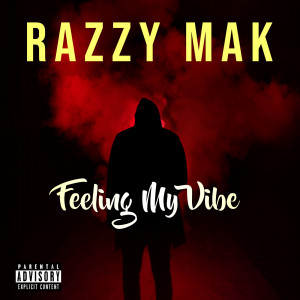 Dengarkan lagu Feeling My Vibe (Explicit) nyanyian Razzy Mak dengan lirik