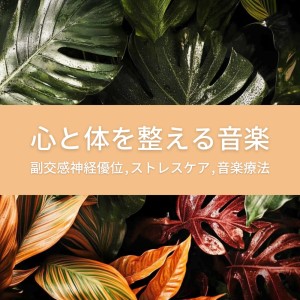 Dengarkan lagu 癒し音楽-瞑想- nyanyian 音楽療法で自律神経を整える dengan lirik